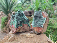 Natural Drusy Coated Malachite On Dolomite Specimens x 6 From Lupoto Mine, Congo