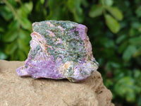 Natural Stichtite Cobbed Specimens x 35 From Barberton, South Africa