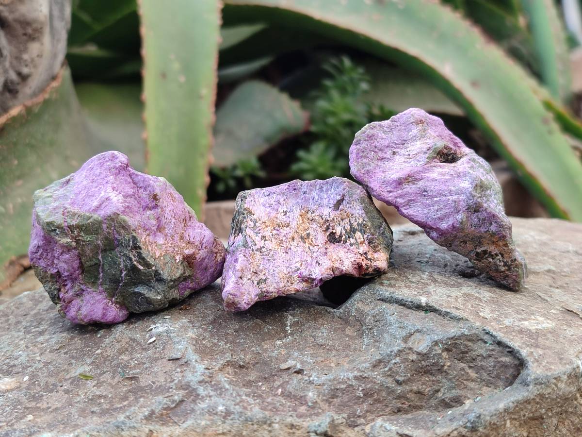 Natural Stichtite Cobbed Specimens x 35 From Barberton, South Africa - Toprock Gemstones and Minerals 