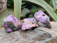 Natural Stichtite Cobbed Specimens x 35 From Barberton, South Africa
