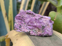 Natural Stichtite Cobbed Specimens x 35 From Barberton, South Africa