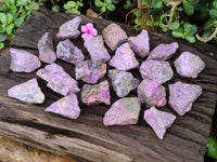 Natural Stichtite Cobbed Specimens x 35 From Barberton, South Africa