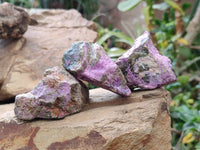 Natural Stichtite Cobbed Specimens x 35 From Barberton, South Africa
