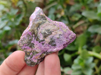Natural Stichtite Cobbed Specimens x 35 From Barberton, South Africa