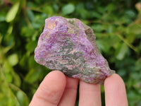Natural Stichtite Cobbed Specimens x 35 From Barberton, South Africa