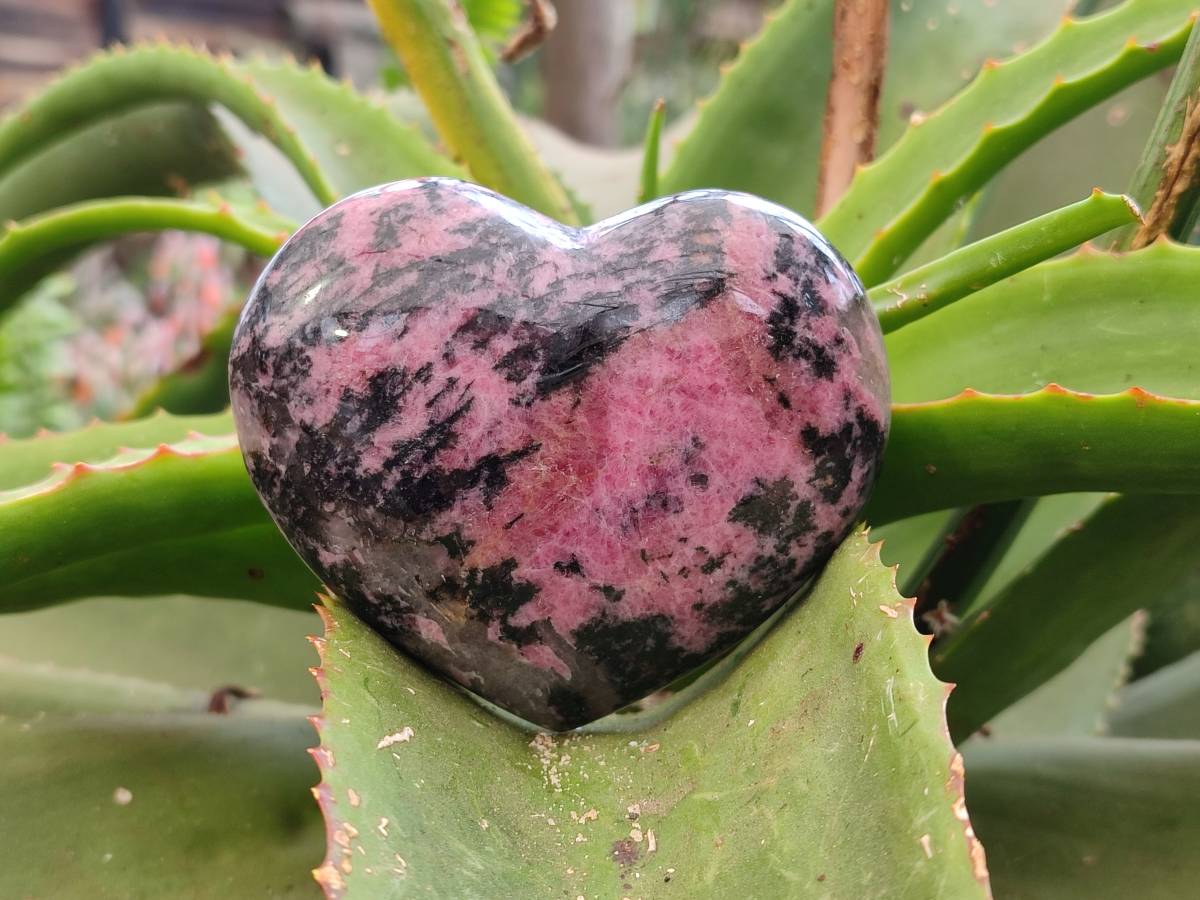 Polished Rhodonite Hearts x 4 From Ambindavato, Madagascar - Toprock Gemstones and Minerals 
