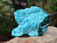 Natural Malachite Malacolla Botryoidal Chrysocolla Specimens x 4 From Kulukuluku, Congo