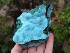 Natural Malachite Malacolla Botryoidal Chrysocolla Specimens x 4 From Kulukuluku, Congo - Toprock Gemstones and Minerals 