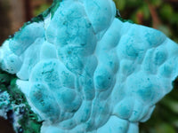 Natural Malachite Malacolla Botryoidal Chrysocolla Specimens x 4 From Kulukuluku, Congo