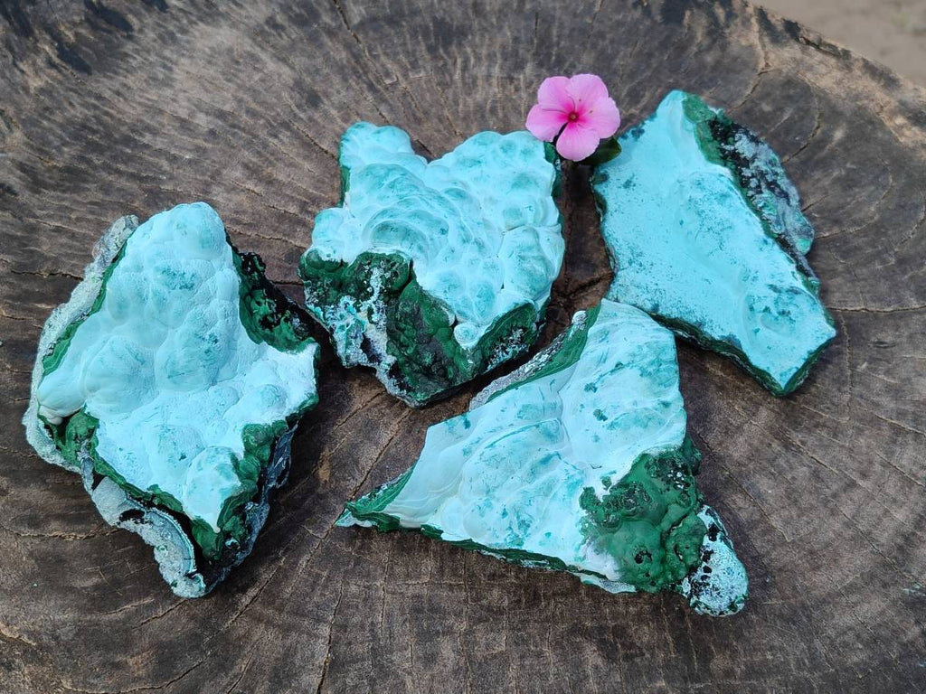 Natural Malachite Malacolla Botryoidal Chrysocolla Specimens x 4 From Kulukuluku, Congo - Toprock Gemstones and Minerals 