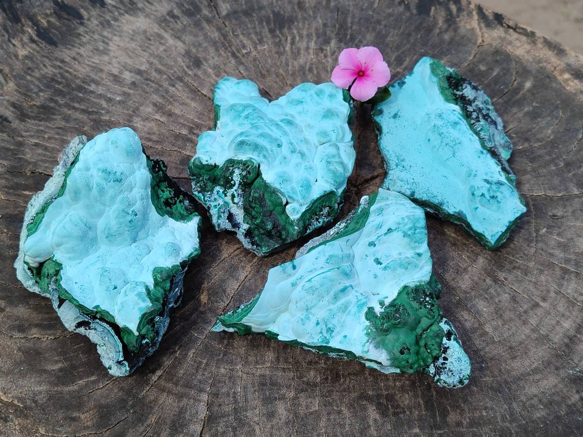 Natural Malachite Malacolla Botryoidal Chrysocolla Specimens x 4 From Kulukuluku, Congo - Toprock Gemstones and Minerals 