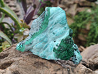 Natural Malachite Malacolla Botryoidal Chrysocolla Specimens x 4 From Kulukuluku, Congo - Toprock Gemstones and Minerals 