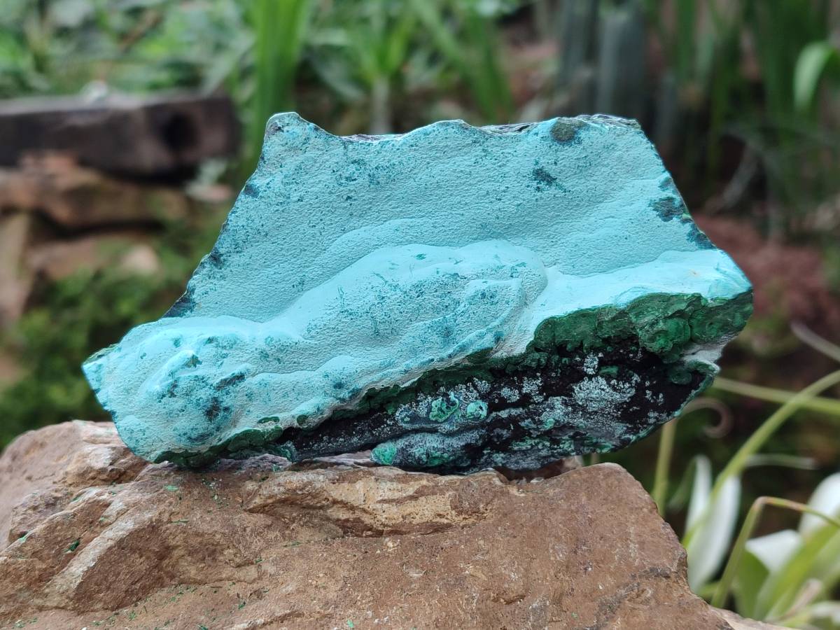 Natural Malachite Malacolla Botryoidal Chrysocolla Specimens x 4 From Kulukuluku, Congo - Toprock Gemstones and Minerals 