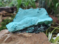 Natural Malachite Malacolla Botryoidal Chrysocolla Specimens x 4 From Kulukuluku, Congo
