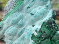 Natural Malachite Malacolla Botryoidal Chrysocolla Specimens x 4 From Kulukuluku, Congo