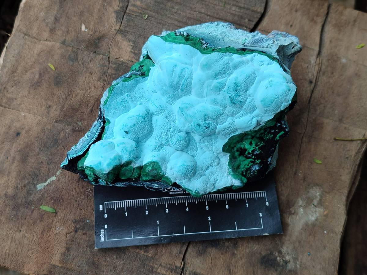 Natural Malachite Malacolla Botryoidal Chrysocolla Specimens x 4 From Kulukuluku, Congo - Toprock Gemstones and Minerals 