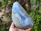 Polished Blue Lace Agate Standing Free Form x 1 From Nsanje, Malawi - Toprock Gemstones and Minerals 