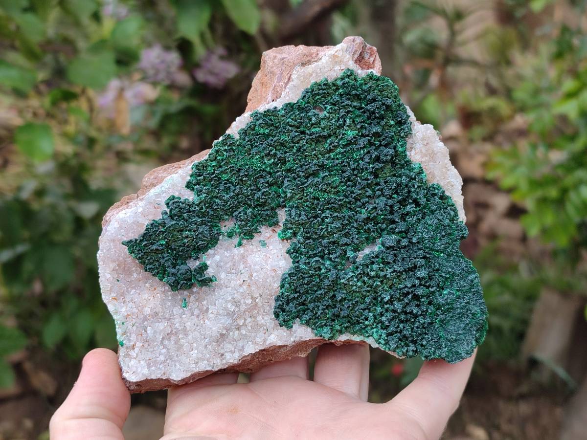 Natural Crystalline Ball Malachite and Drusy Quartz On Dolomite Matrix Specimens x 2 From Kambove, Congo - Toprock Gemstones and Minerals 