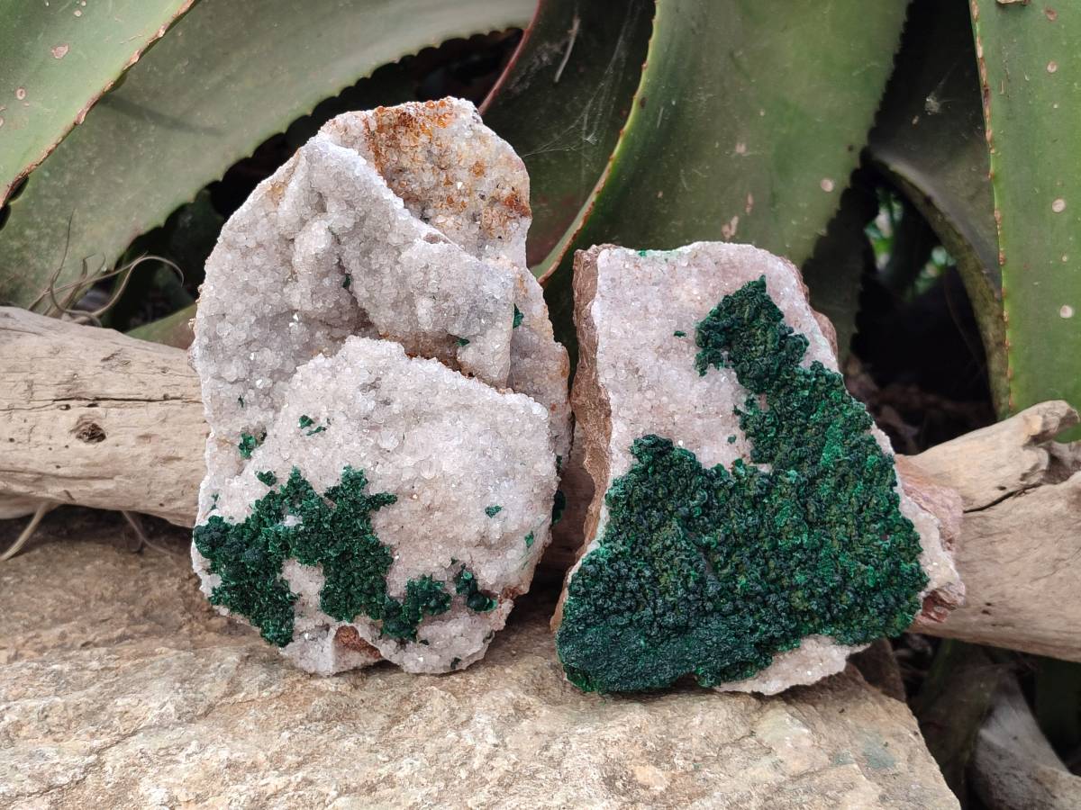 Natural Crystalline Ball Malachite and Drusy Quartz On Dolomite Matrix Specimens x 2 From Kambove, Congo - Toprock Gemstones and Minerals 