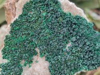 Natural Crystalline Ball Malachite and Drusy Quartz On Dolomite Matrix Specimens x 2 From Kambove, Congo