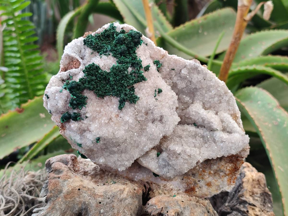 Natural Crystalline Ball Malachite and Drusy Quartz On Dolomite Matrix Specimens x 2 From Kambove, Congo - Toprock Gemstones and Minerals 