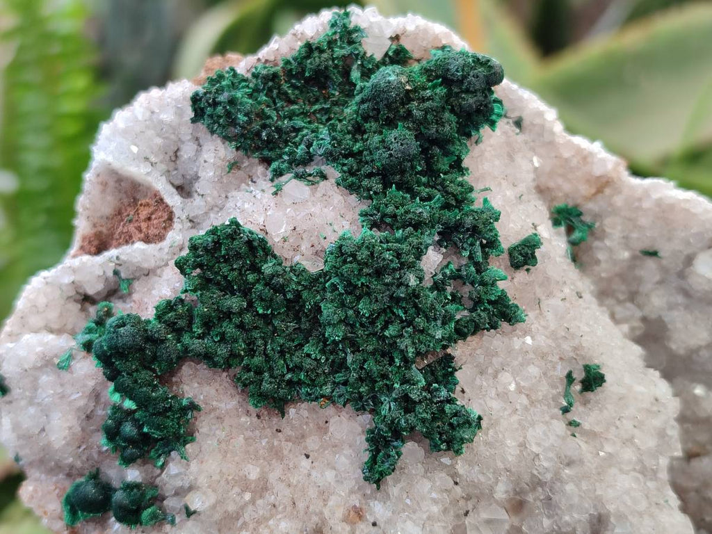 Natural Crystalline Ball Malachite and Drusy Quartz On Dolomite Matrix Specimens x 2 From Kambove, Congo - Toprock Gemstones and Minerals 