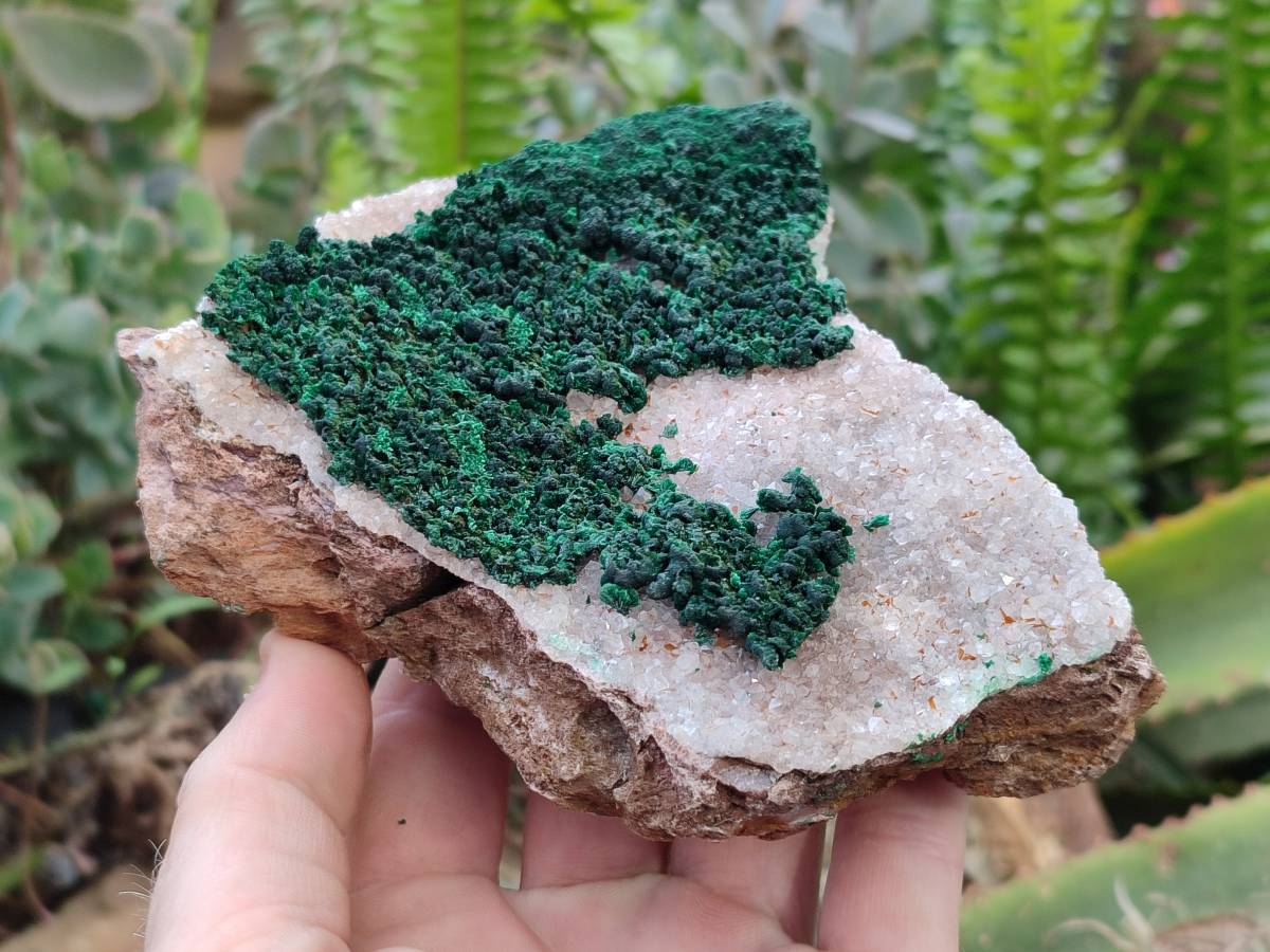 Natural Crystalline Ball Malachite and Drusy Quartz On Dolomite Matrix Specimens x 2 From Kambove, Congo - Toprock Gemstones and Minerals 