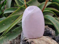 Polished Rose Quartz Standing Free Forms x 2 From Madagascar