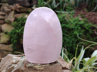 Polished Rose Quartz Standing Free Forms x 2 From Madagascar