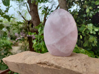 Polished Rose Quartz Standing Free Forms x 2 From Madagascar