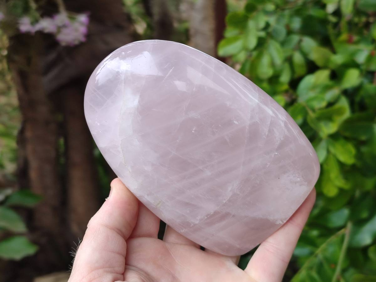 Polished Rose Quartz Standing Free Forms x 2 From Madagascar - Toprock Gemstones and Minerals 