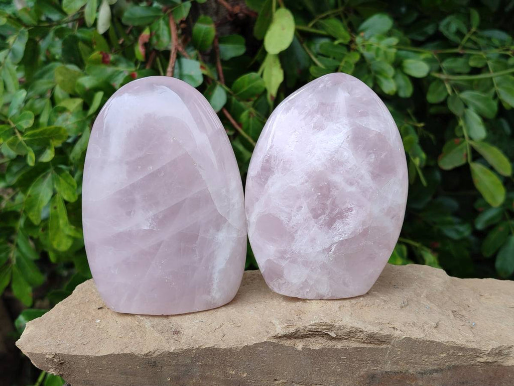 Polished Rose Quartz Standing Free Forms x 2 From Madagascar - Toprock Gemstones and Minerals 