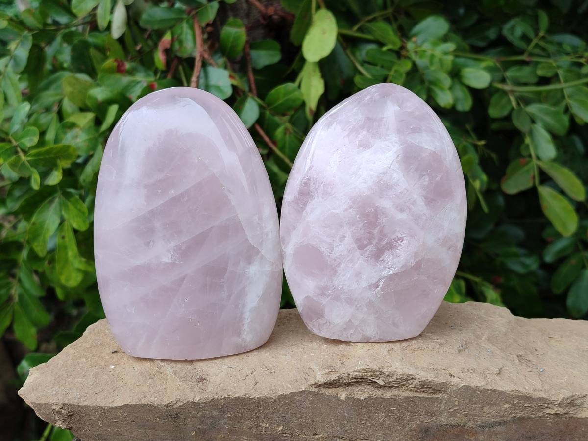 Polished Rose Quartz Standing Free Forms x 2 From Madagascar - Toprock Gemstones and Minerals 