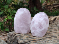 Polished Rose Quartz Standing Free Forms x 2 From Madagascar