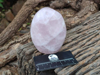 Polished Rose Quartz Standing Free Forms x 2 From Madagascar