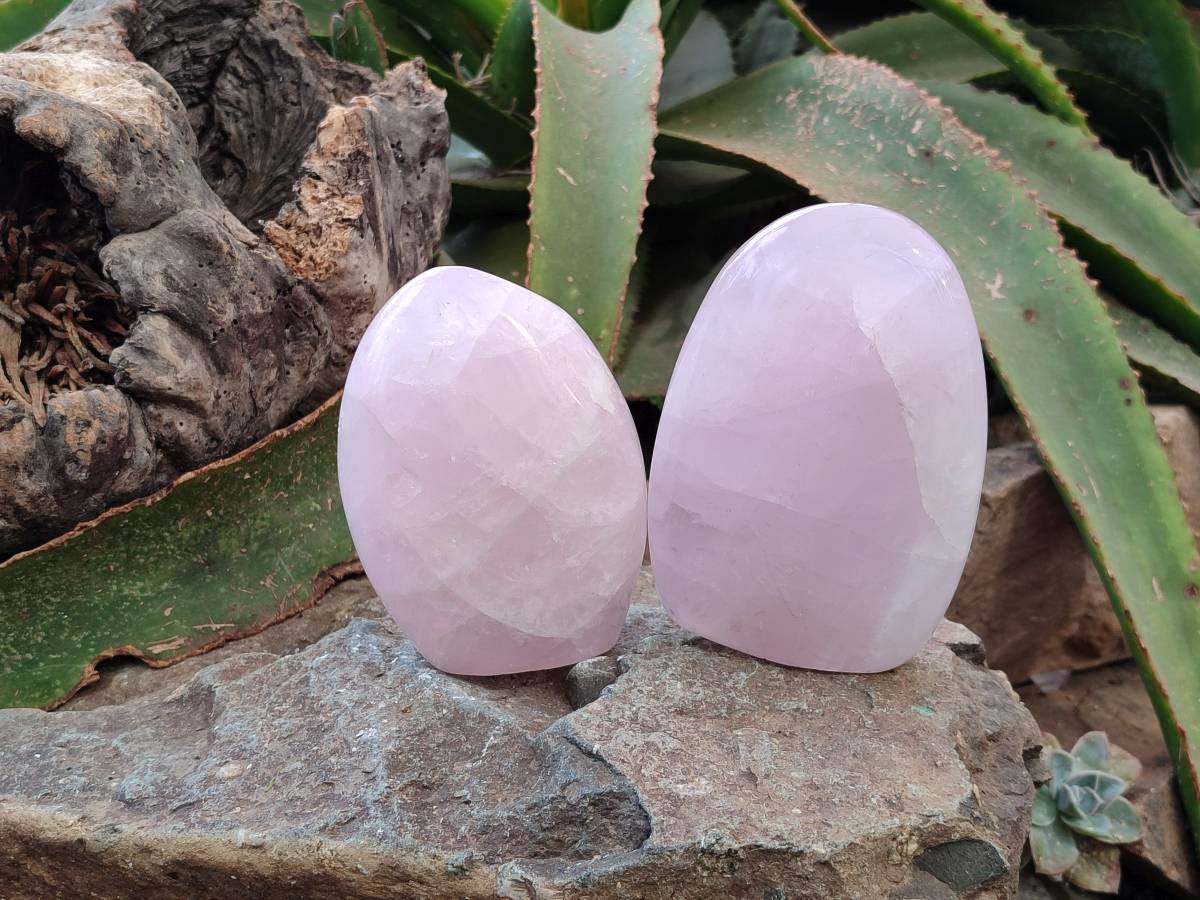 Polished Rose Quartz Standing Free Forms x 2 From Madagascar - Toprock Gemstones and Minerals 