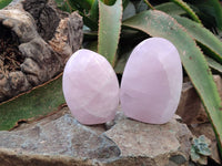 Polished Rose Quartz Standing Free Forms x 2 From Madagascar