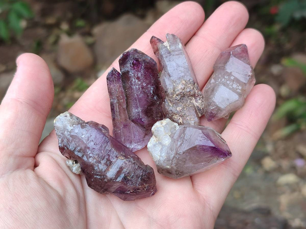Natural Window Amethyst Crystals x 20 From Chiredzi, Zimbabwe - Toprock Gemstones and Minerals 