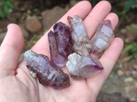 Natural Window Amethyst Crystals x 20 From Chiredzi, Zimbabwe