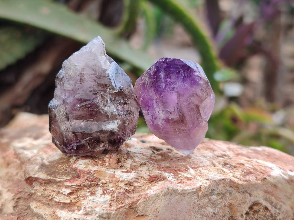 Natural Window Amethyst Crystals x 20 From Chiredzi, Zimbabwe - Toprock Gemstones and Minerals 