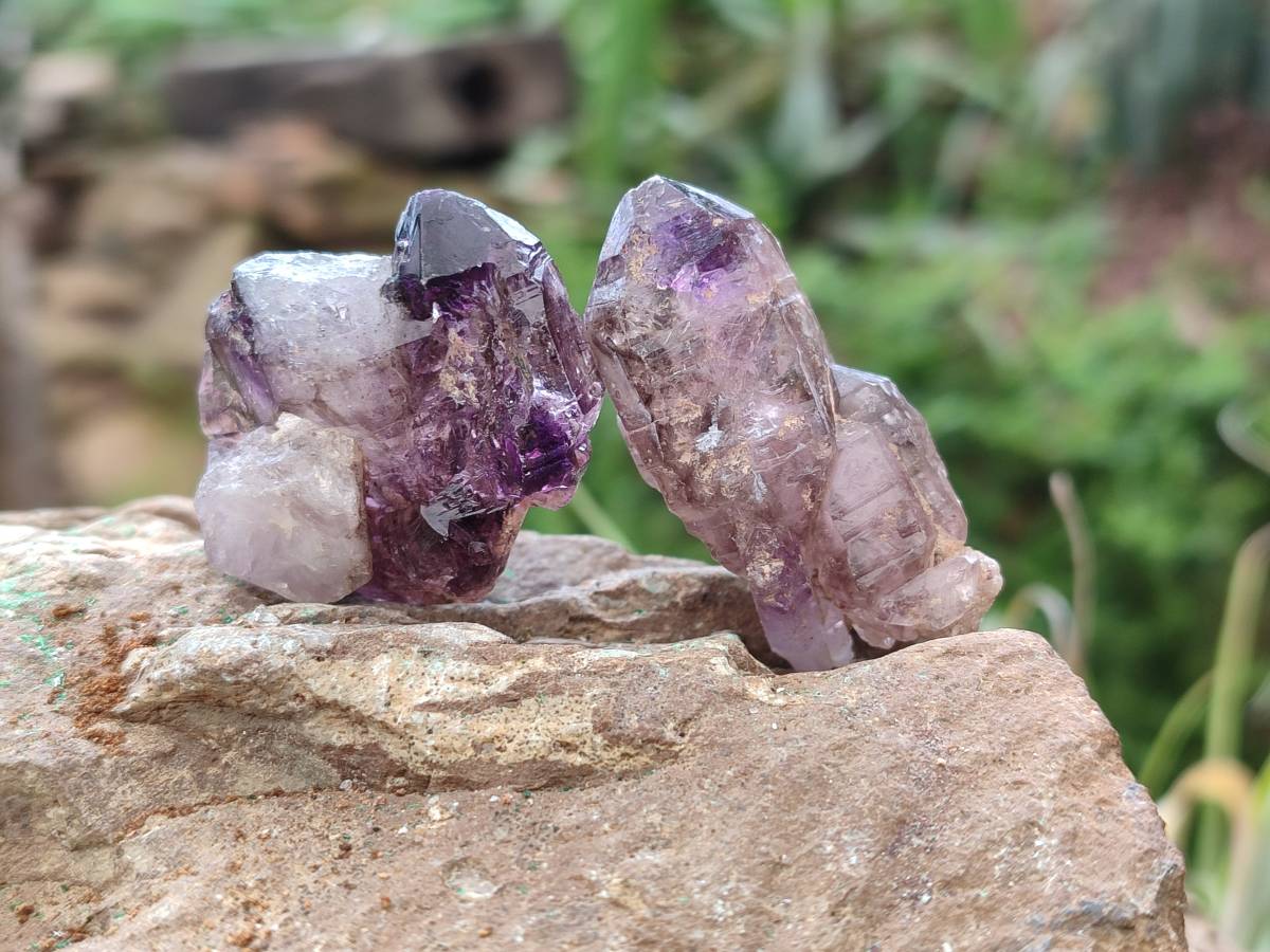 Natural Window Amethyst Crystals x 20 From Chiredzi, Zimbabwe - Toprock Gemstones and Minerals 