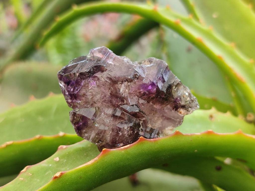 Natural Window Amethyst Crystals x 20 From Chiredzi, Zimbabwe - Toprock Gemstones and Minerals 