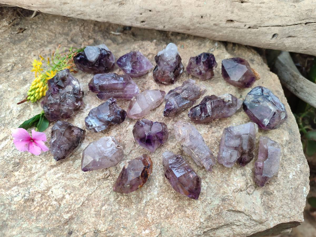 Natural Window Amethyst Crystals x 20 From Chiredzi, Zimbabwe - Toprock Gemstones and Minerals 