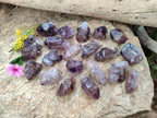 Natural Window Amethyst Crystals x 20 From Chiredzi, Zimbabwe - Toprock Gemstones and Minerals 