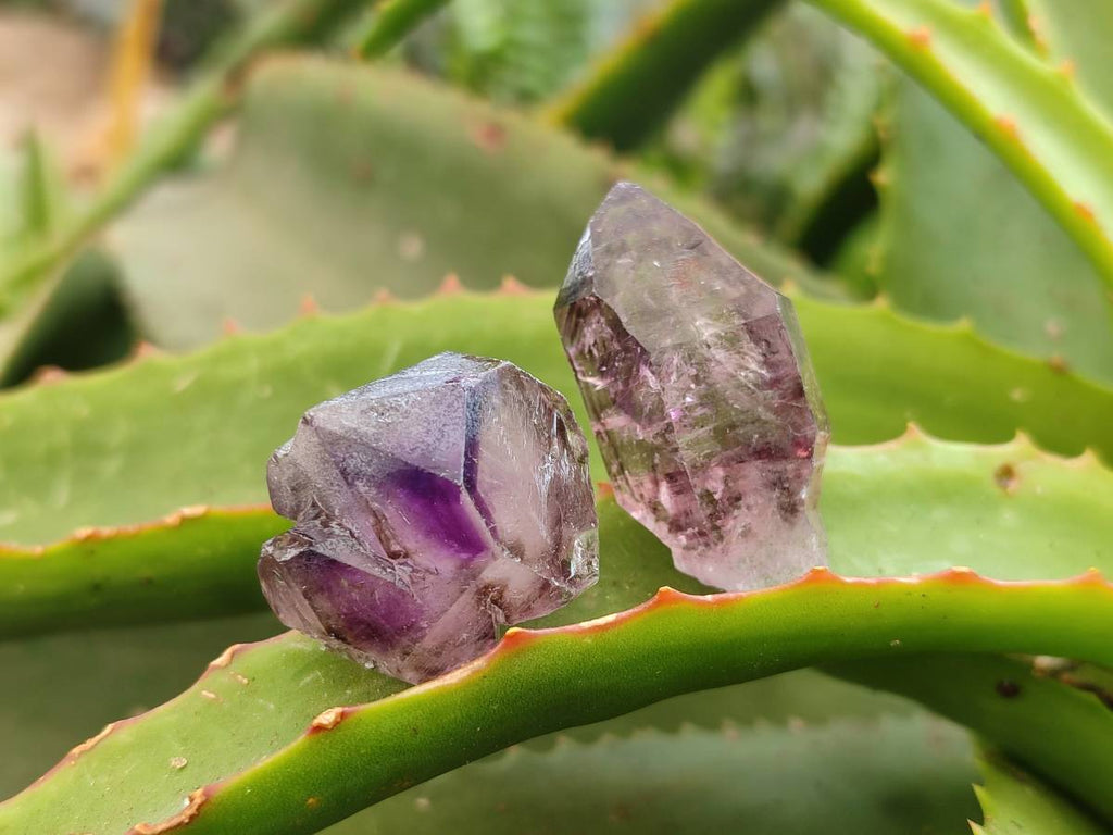 Natural Window Amethyst Crystals x 20 From Chiredzi, Zimbabwe - Toprock Gemstones and Minerals 