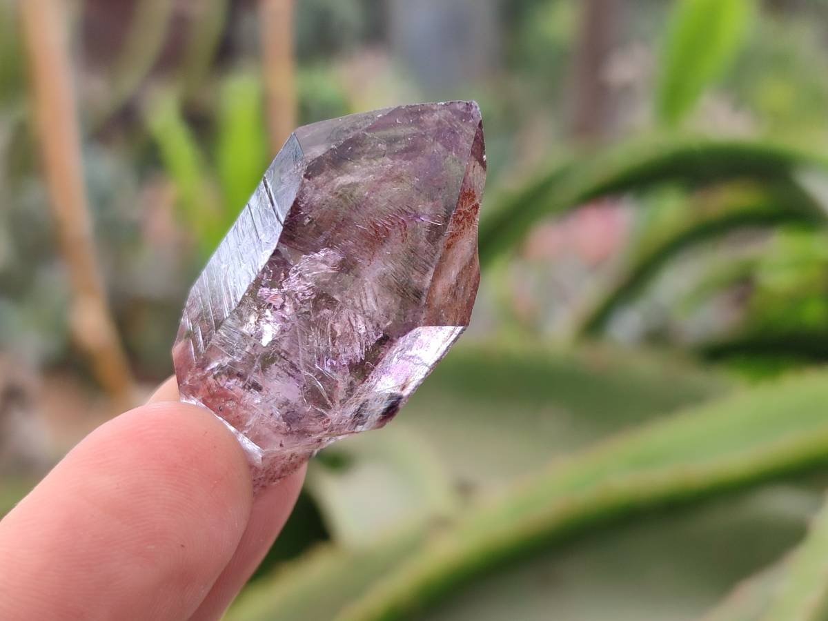 Natural Window Amethyst Crystals x 20 From Chiredzi, Zimbabwe - Toprock Gemstones and Minerals 