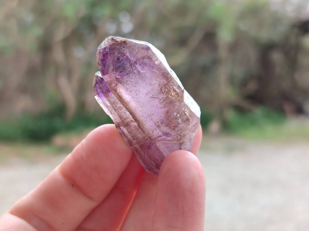 Natural Window Amethyst Crystals x 20 From Chiredzi, Zimbabwe - Toprock Gemstones and Minerals 