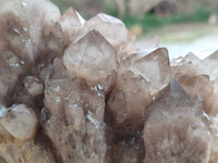 Natural Smokey Phantom Quartz Cluster x 1 From Luena, Congo