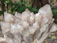 Natural Smokey Phantom Quartz Cluster x 1 From Luena, Congo