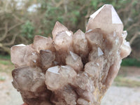 Natural Smokey Phantom Quartz Cluster x 1 From Luena, Congo